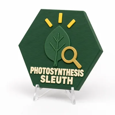 Photosynthesis Sleuth magnetic 3D-printed achievement badge