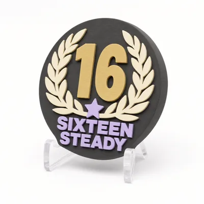 Sixteen Steady magnetic 3D-printed achievement badge